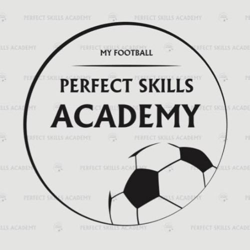 Perfect Skills Academy